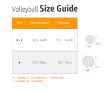 Picture of Cosco Shot Volleyball, 4