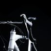 Picture of Battalia Frontline Bike | Shimano Claris 16 Speed