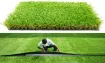 Picture of Landscaping Artificial Grass