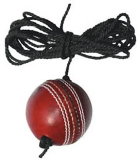 Picture of Cricket Hanging Ball