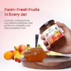 Picture of Himsrot Organic Mixed Fruit Jam | Organic Fruit Jam For Breakfast | Goodness of Mixed Fruits | No Added Preservatives & Colors - 250gm